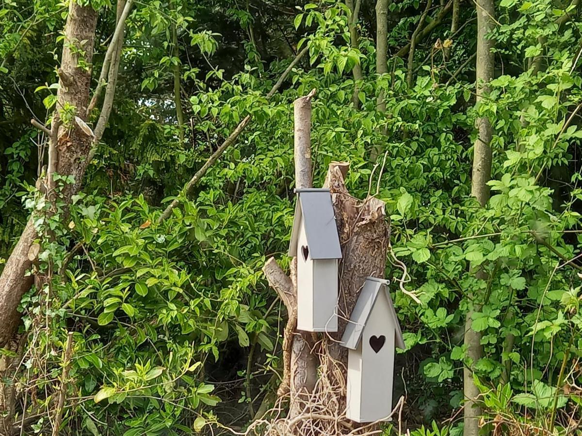 Natuurhuisje Eartswoud Aartswoud ภายนอก รูปภาพ