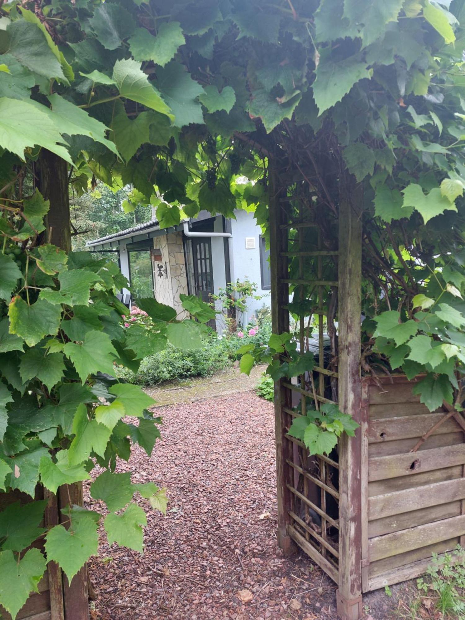 Natuurhuisje Eartswoud Aartswoud ภายนอก รูปภาพ